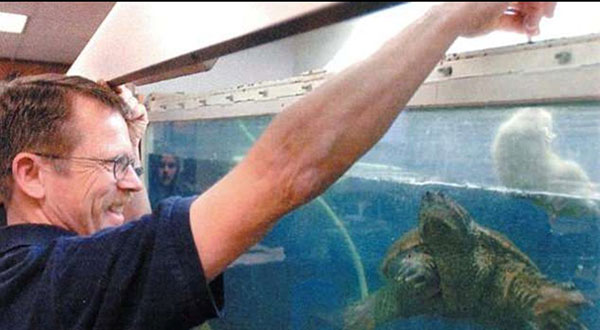 US Teacher Faces 6 Months in Jail for Feeding Live Puppy to Turtle In Front of Students US Teacher Faces 6 Months in Jail for Feeding Live Puppy to Turtle In Front of Students